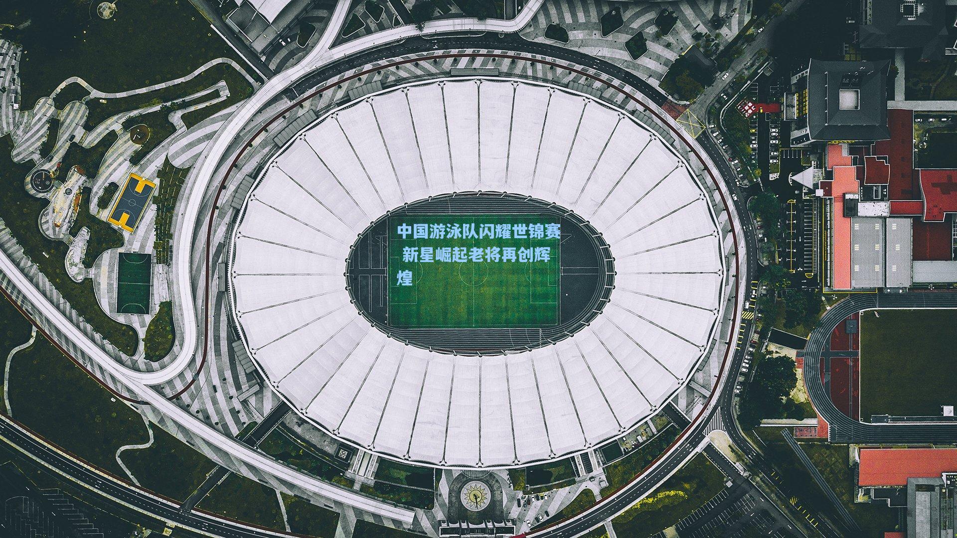 中国游泳队闪耀世锦赛 新星崛起老将再创辉煌