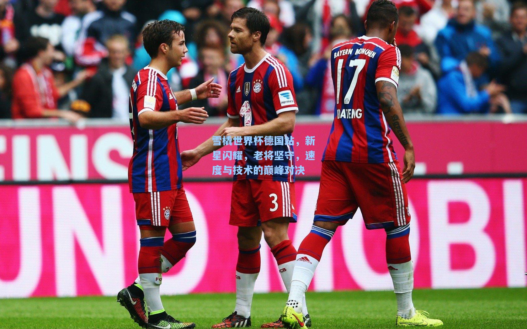 雪橇世界杯德国站，新星闪耀，老将坚守，速度与技术的巅峰对决